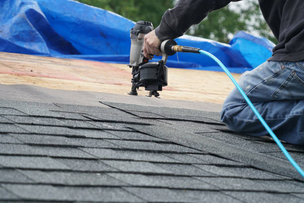 Roof Insulation Installation in Carrizo Springs, TX